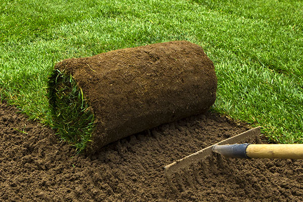 SOCO® 保水剂适用于草坪和草皮生长周期