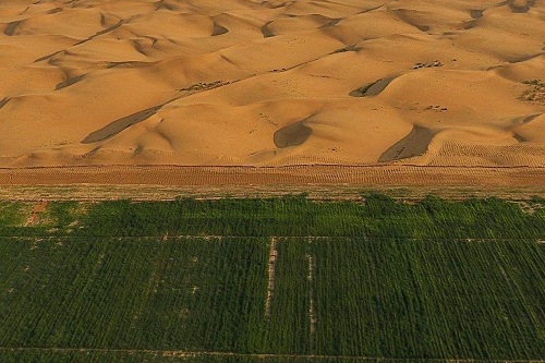 沙漠治理保水剂
